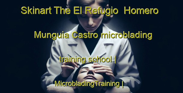 Skinart The El Refugio  Homero Munguia Castro microblading training school | MicrobladingTraining | MicrobladingClasses | SkinartTraining-Mexico